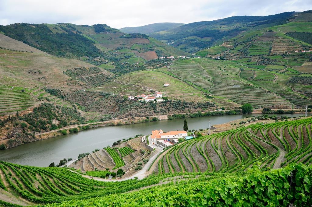 Hotel Rural Quinta Do Pego Tabuaco Bagian luar foto