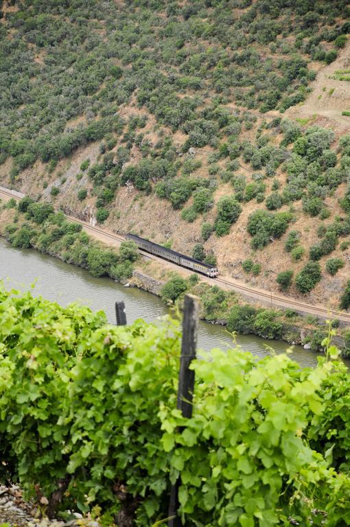 Hotel Rural Quinta Do Pego Tabuaco Bagian luar foto