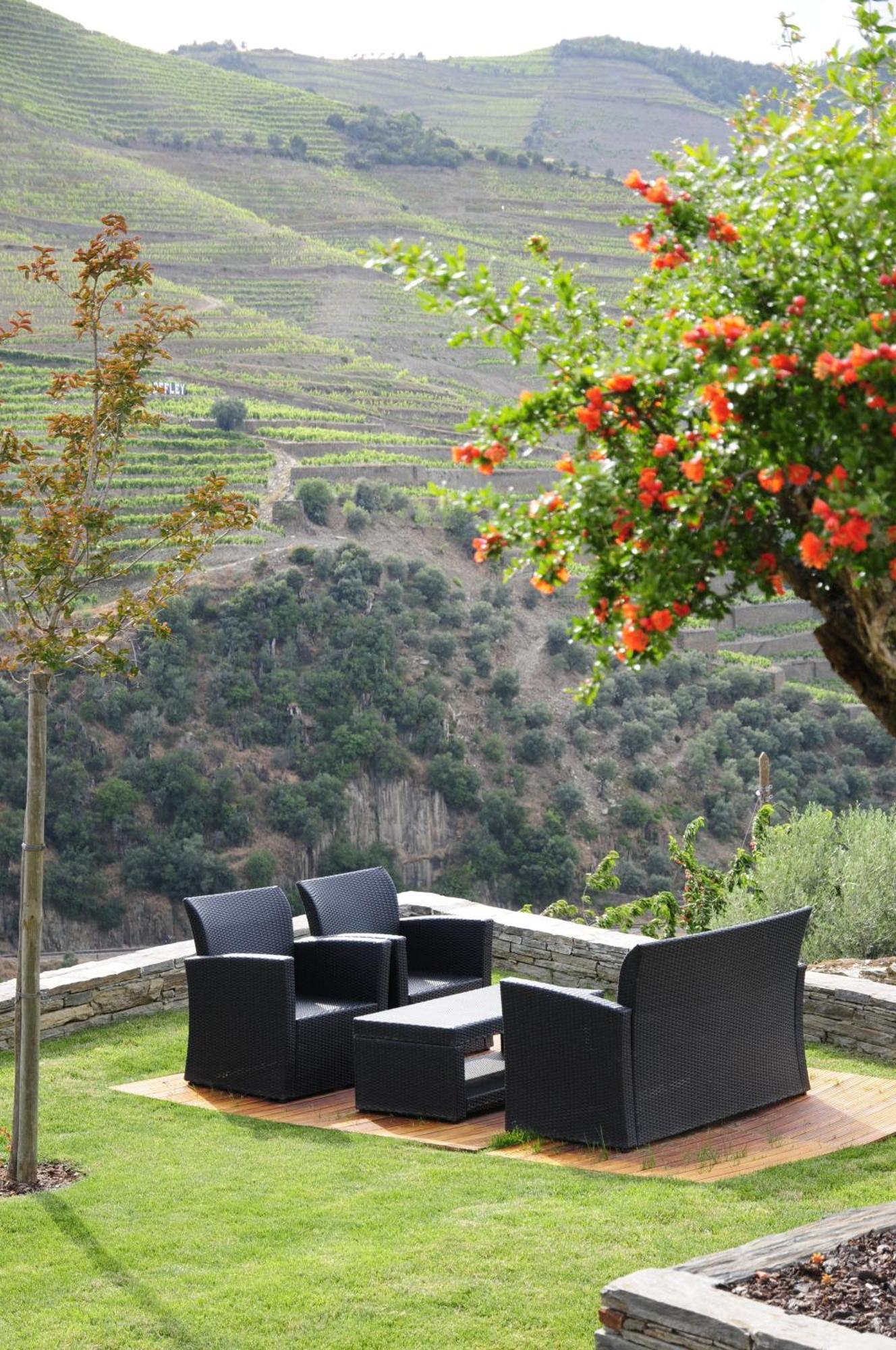 Hotel Rural Quinta Do Pego Tabuaco Bagian luar foto