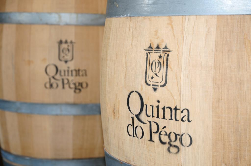 Hotel Rural Quinta Do Pego Tabuaco Bagian luar foto